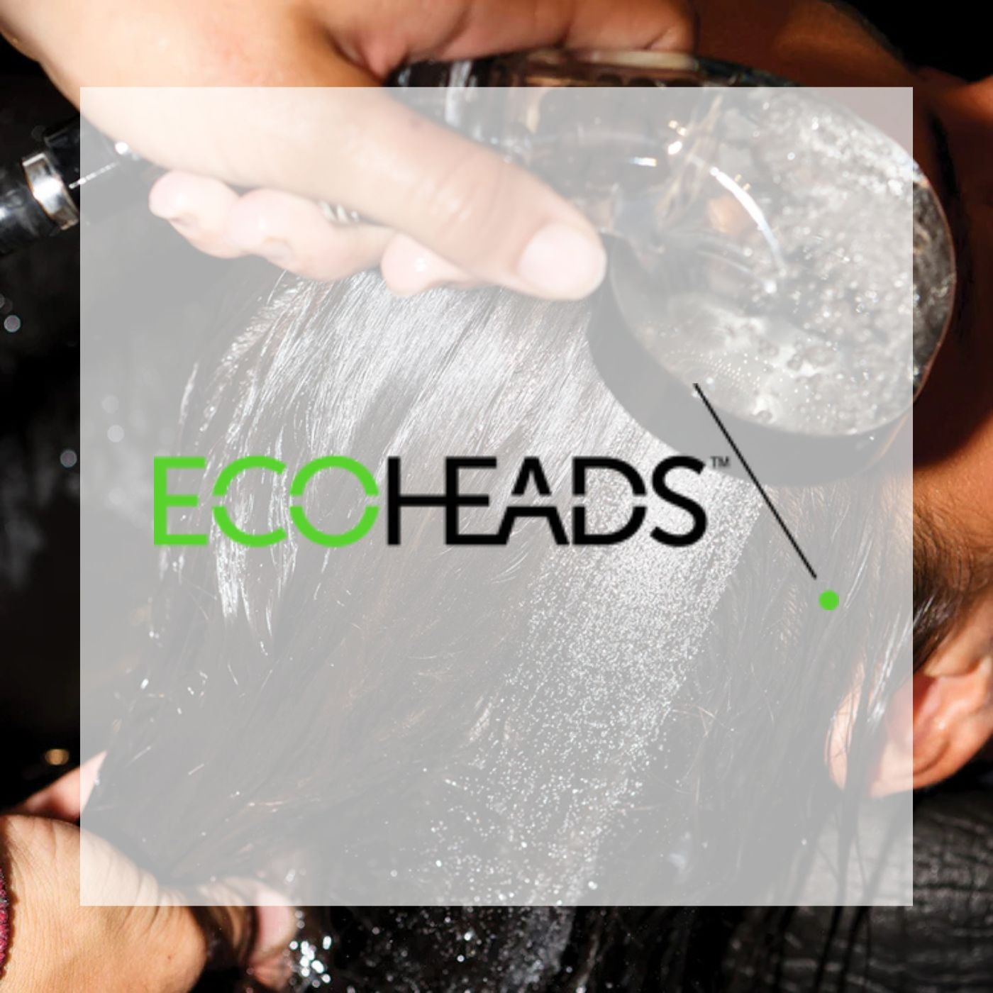 Ecoheads