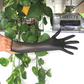 Ecotek Biodegradable gloves